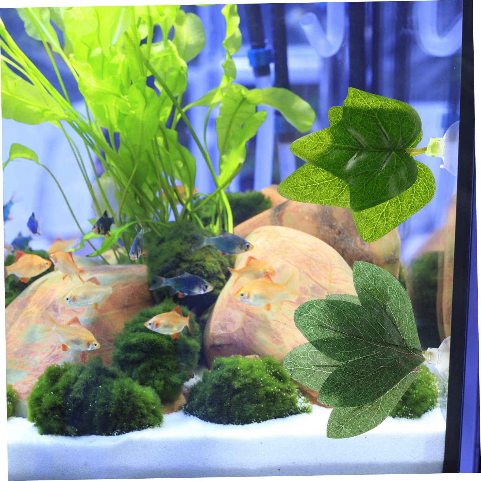 Kisangel 20stücke Künstliche Pflanzen Für Aquarium Realistische Kunststoff-Dekoration Für Fisch Und Reptilientanks Geeignet Für Süß Und Salzwasser Pflegeleicht Und Sicher Für Tiere