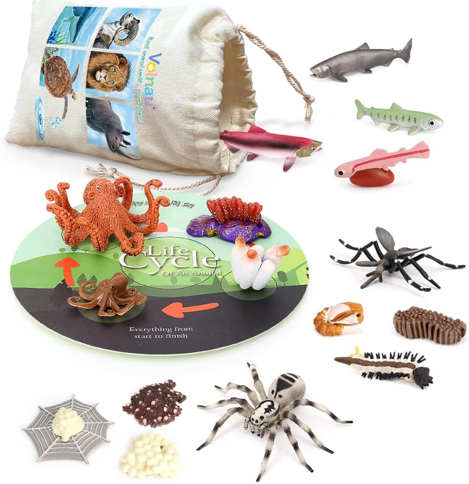 Volnau Animal Figurines Toys 17PCS Life Cycle Figure Set for Toddlers Kids Salmon Octopus Wolf Spider Mosquito Christmas Birthday Gift Preschool Educational Prop
