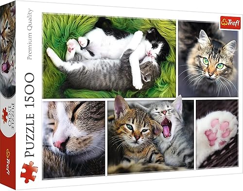 Trefl Rompecabezas de 1500 piezas, collage Just Cat Things, mascotas, gatos y gatitos, collage de animales, rompecabezas para adultos, 26145