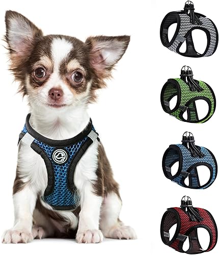 Chihuahua Teacup - Arnés ajustable XXS, XS, arnés para perros y gatos pequeños (azul, pequeño)