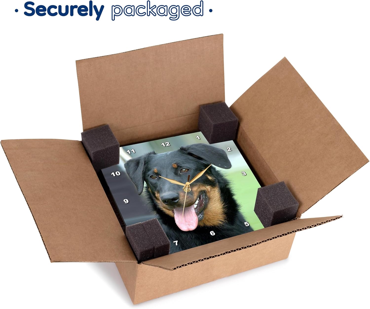 3dRose Beauceron - Wall Clock, 10 by 10" (DPP_4269_1)