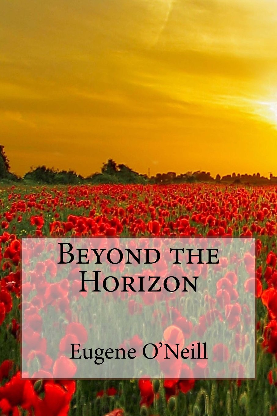 Beyond the Horizon