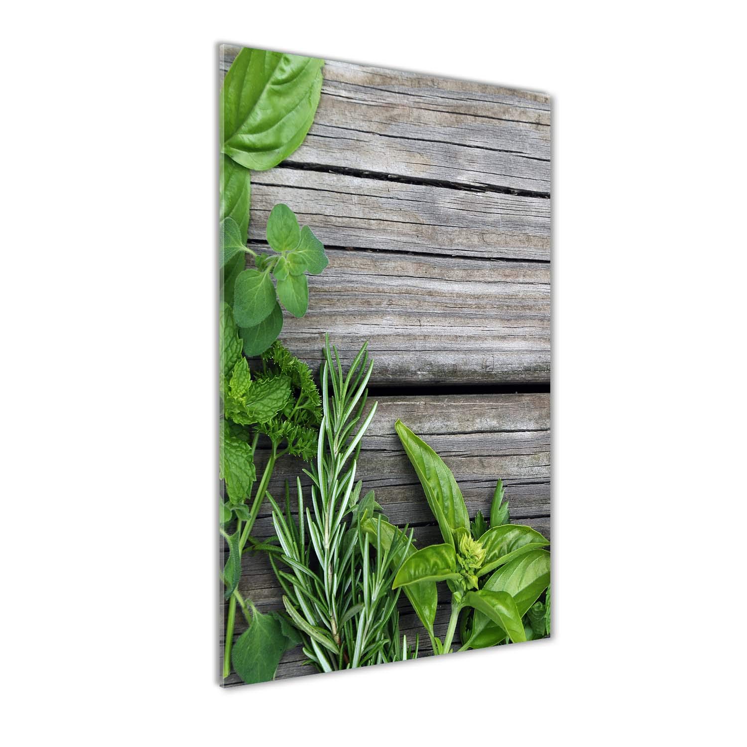 Déco Mural derrière Le Plastique 60x120 - Tableau Verre Fleurs et Plantes
