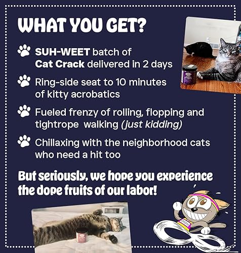 Miniatura 5 de Mezcla de gran calidad Cat Crack segura para gatos imbuidas de máxima potencia