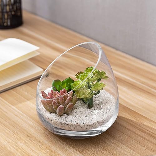 Miniatura 3 de MyGift Terrario de cristal transparente de 5 pulgadas para plantas de aire, mini tarro para caramelos, portavelas candelita, jarrón de plantas de