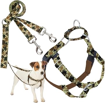 2 Hounds Design - Freedom No-Pull Harness & Training Leash in Green Mud | Dual Leash Loops, No Pulling on Walks | Lined to Prevent Chaffing | for Small Sized Dogs Size S, Chest 20- 24
