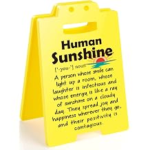 MBL Inspirational Sunshine Gifts for Women - Office Cubicle Decor Decoration Desk Sign Bosses Day Gift for Women Thoughtful Appreciation Thank You Coworker Boss Lady Birthday Christmas White Elephant