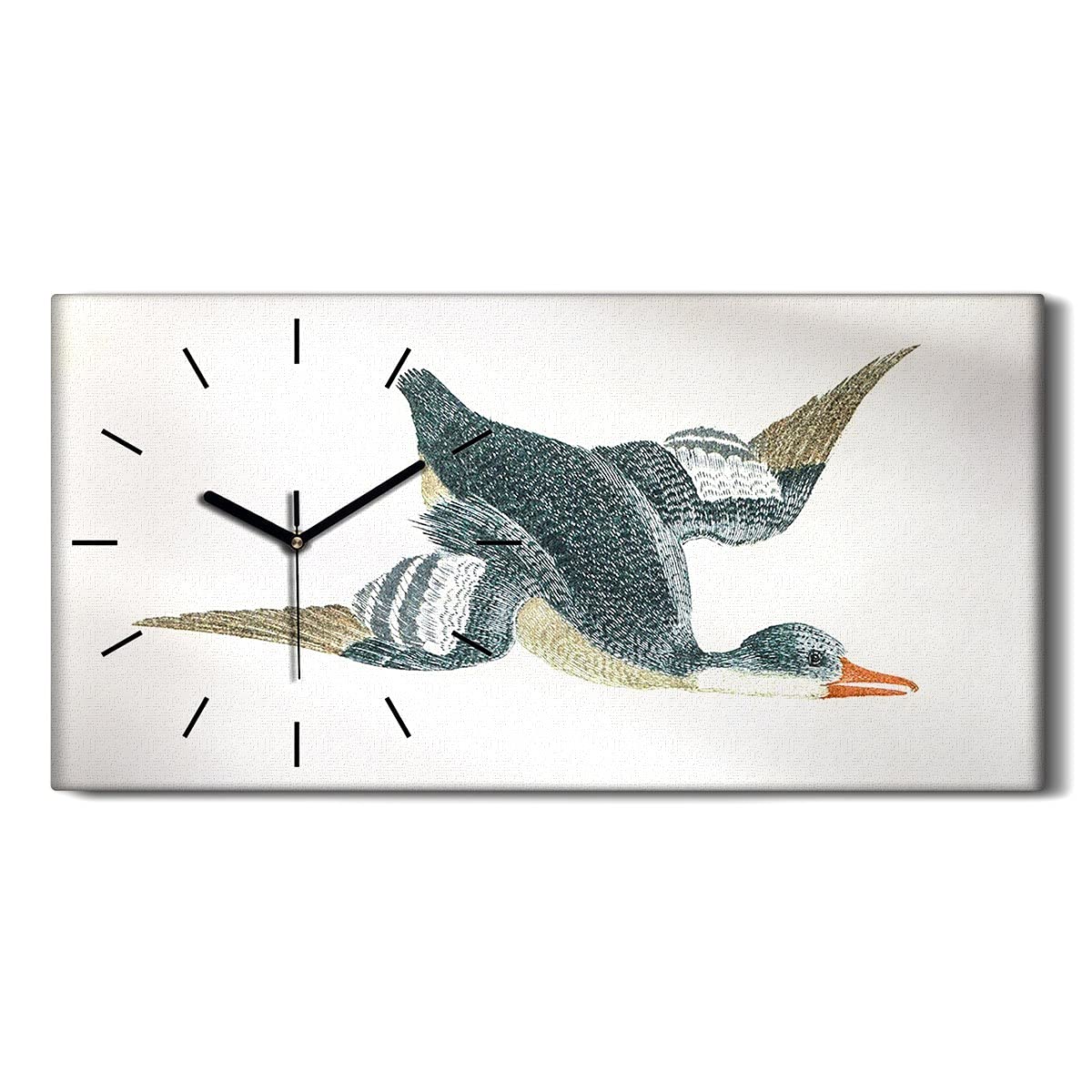 Horloge sur toile décoration murale salon chambre 60x30cm art moderne oiseau