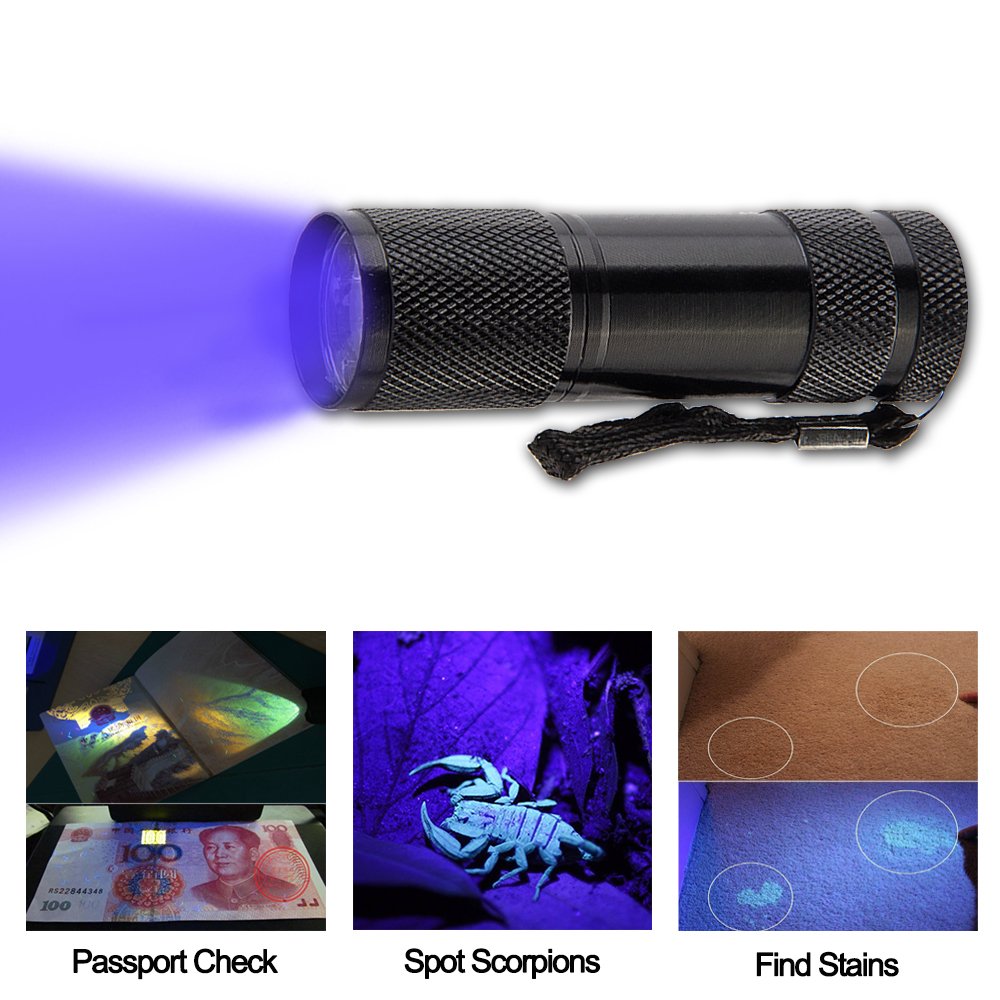 POCKETMAN Torcia UV LED 395nm - Ultra Violet Flashlight/Blacklight - Rivelatore Macchie e Urina di Animali per Abiti, Moquette e Tappeti
