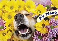 Vista 8 de Glory To Dog Te conseguí un pastel de cumpleaños y estaba delicioso Feliz cumpleaños de La Tarjeta de cumpleaños de perro con sobre de felicitación