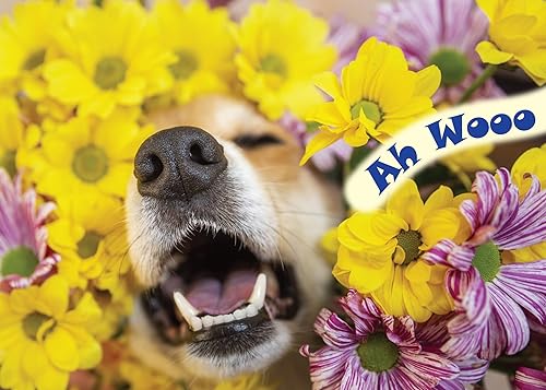 Miniatura 8 de Glory To Dog Te conseguí un pastel de cumpleaños y estaba delicioso Feliz cumpleaños de La Tarjeta de cumpleaños de perro con sobre de felicitación