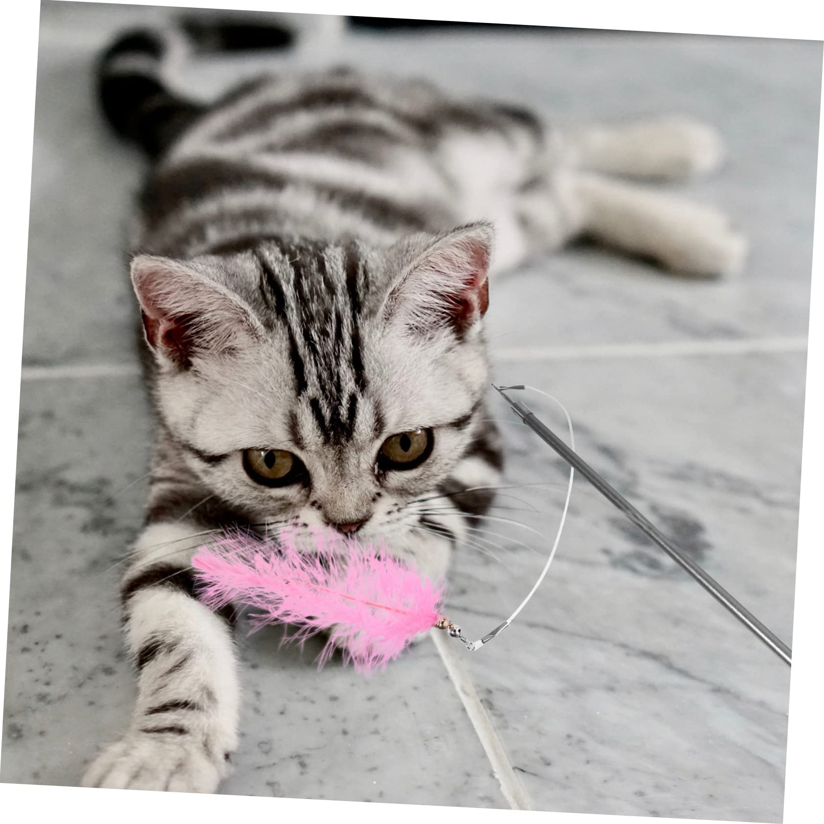 SUPVOX 3pièces Canne à pour Chat avec Jouets De Remplacement Interactif De Jeux pour Chat pour Divertissement Félins