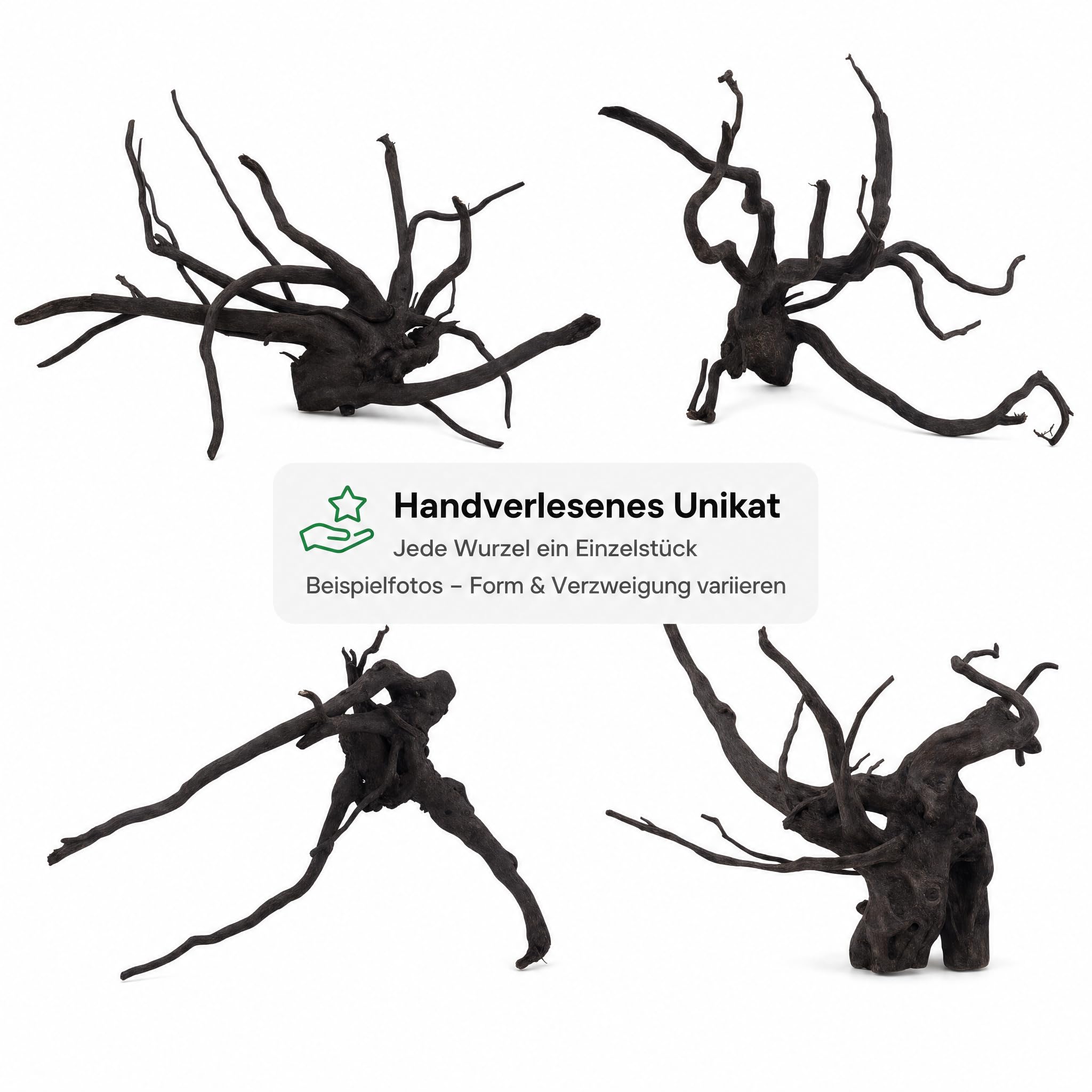 AquaOne Aquarium Wurzel Black Spider L 35–50 cm, Moorkienholz schwarz gefärbt, filigran verzweigt, für Aquascaping & Aufsitzerpflanzen, handverlesenes Unikat für Süßwasseraquarien und Terrarien