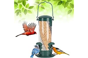 Tube Bird Feeders for Outdoors, 10 inches