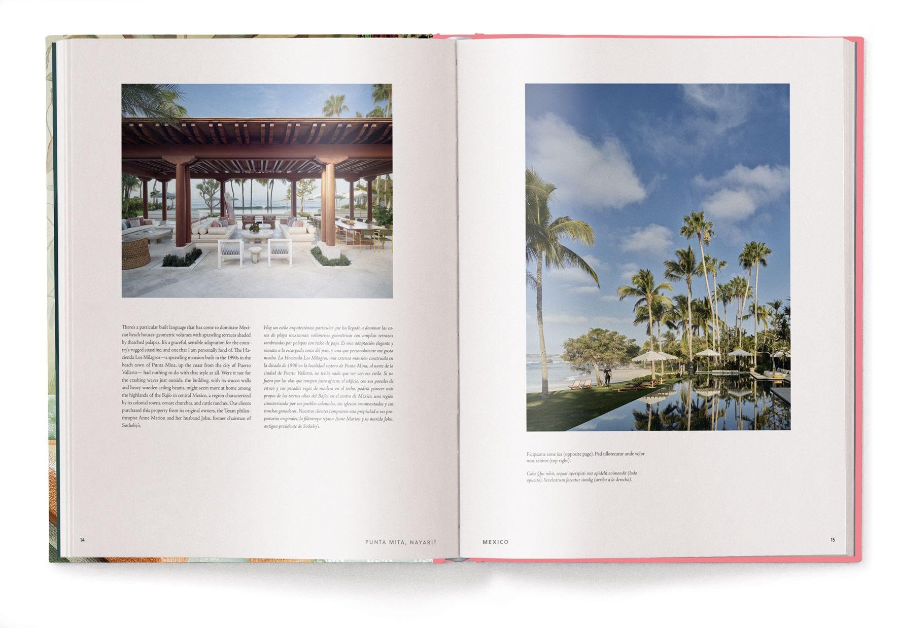 Interior Design in Latin America (World of Interior Design)