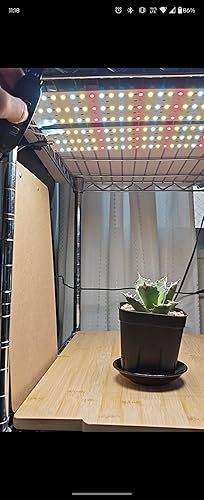 Amazon.co.jp: LED植物育成 調光可能 植物成長 暖色系 四枚パネル 超薄
