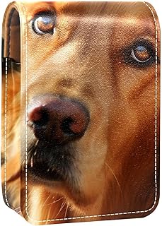 Lipstick Case,Leather Lip Gloss Lipstick Orga...