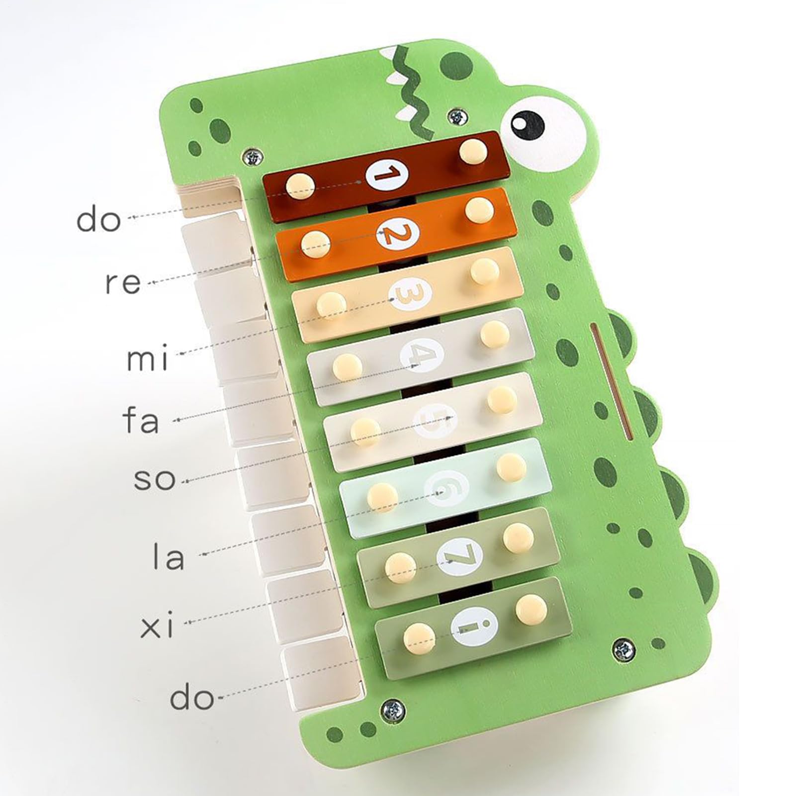 Xylophone Enfant Instrument d'Éveil Sensoriel et d'apprentissage Percussion