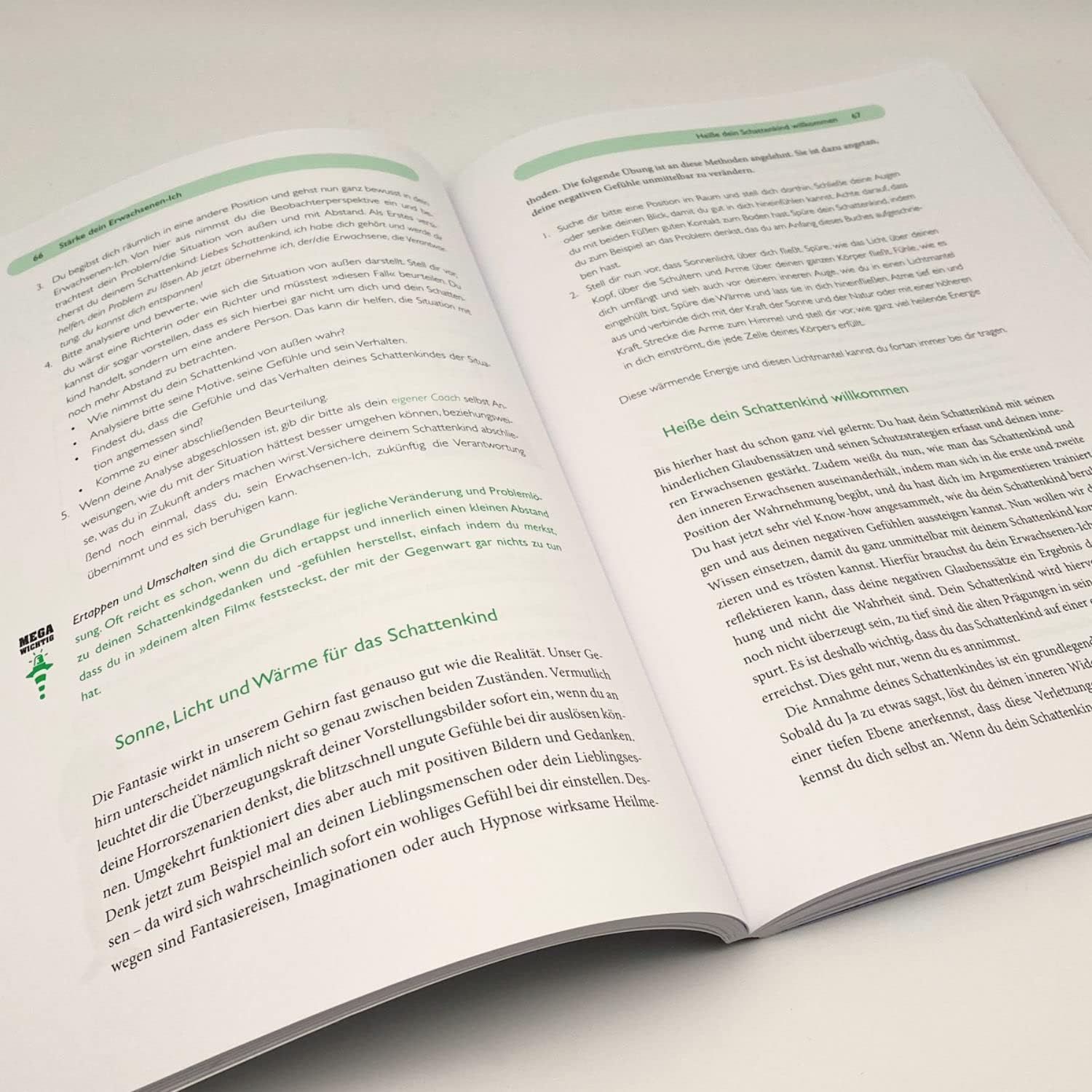 Stefanie Stahl Das Kind in dir muss Heimat finden – Jubiläumsausgabe Bundle mit Arbeitsbuch und Lesezeichen – Selbsthilfe Buch – Psychologie, Persönlichkeitsentwicklung, Selbstentfaltung & Achtsamkeit