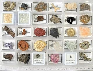 ★★隕石 鉱物 化石標本30種★★