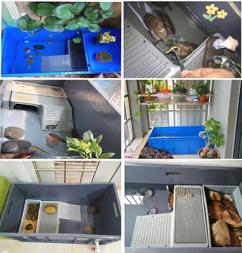 Amazon | 亀 水槽 大きい 亀の水槽 特大亀 飼育ケース 蓋付きカメ 水槽