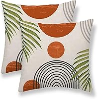 Vista 28 de Juego de 2 fundas de almohada bohemias de 20 x 20 pulgadas, con hojas bohemias abstractas de mediados de siglo, decorativas, para exteriores, fundas