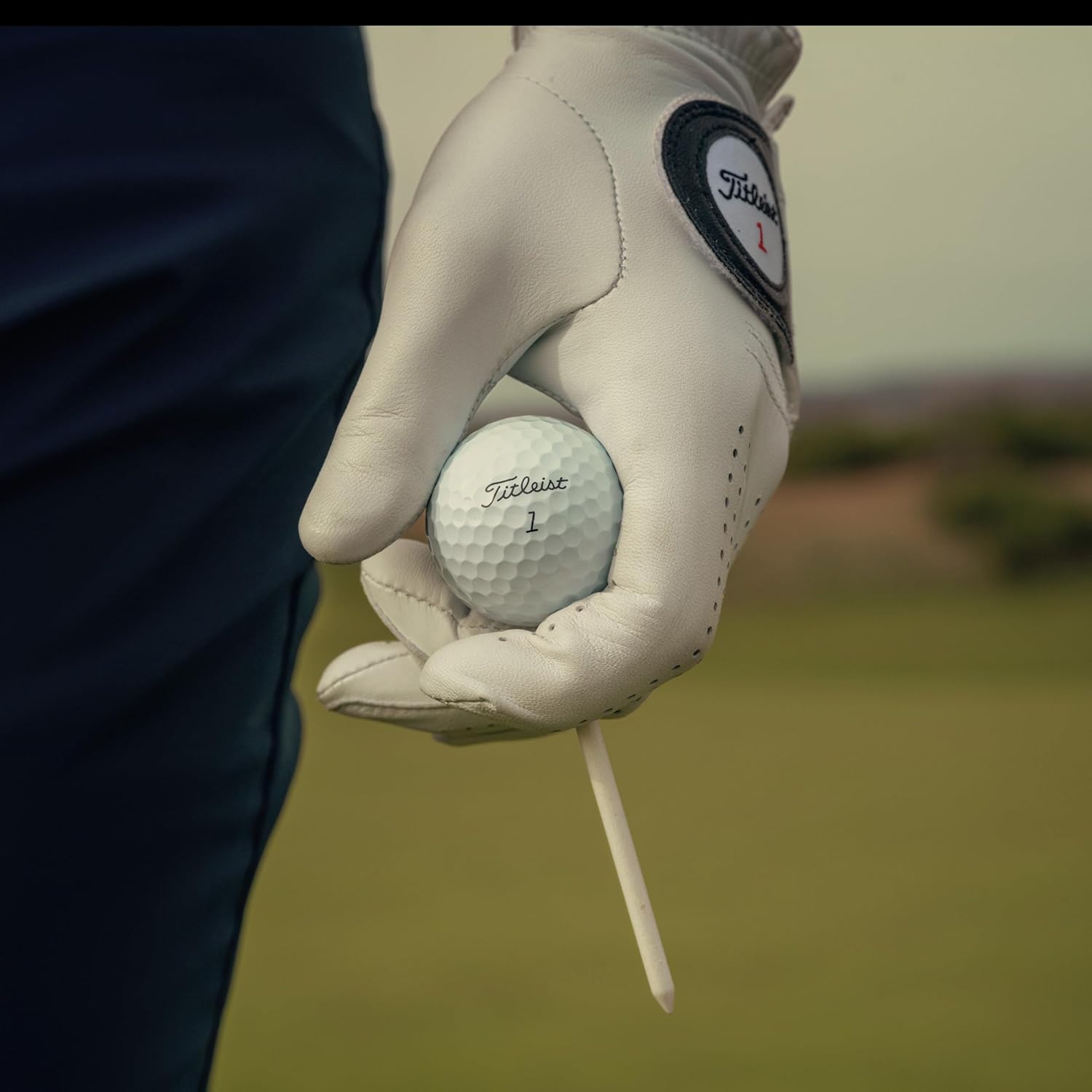 Titleist Pro V1X Personalized Golf Balls |Add Logo, Image or Text (Set of 12) - Image 9