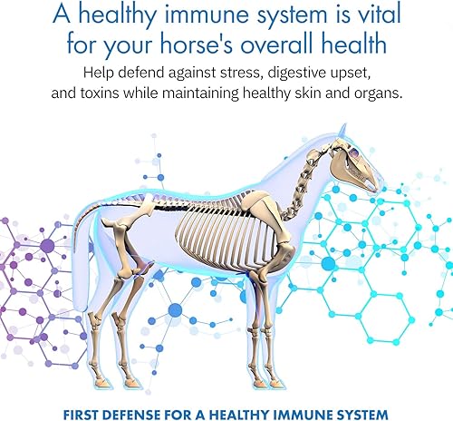 Miniatura 2 de HealthyGut Probióticos para caballos Suplemento dietético, fórmula de mantenimiento del sistema digestivo totalmente natural (30 días)