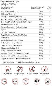 Validus Curcumin 500 mg + Piperin + Inula Henelium + Astragalus + Quercetin + Reishi + Moringa 60 Capsules