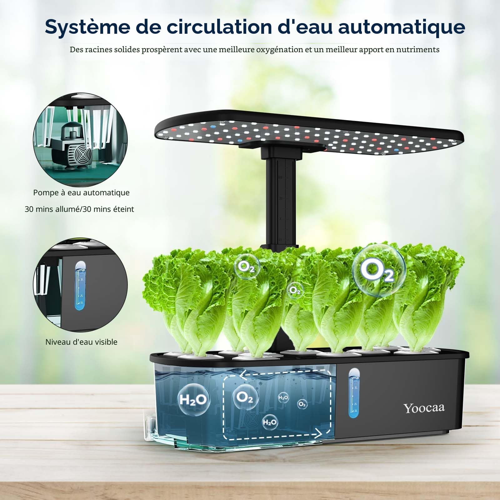 Potager Intérieur pour 12 Plantes, Kits et Systèmes pour Cultures Hydroponiques avec Hauteur Réglable sur 12 Niveaux et Minuteur Intelligent (sans graines)
