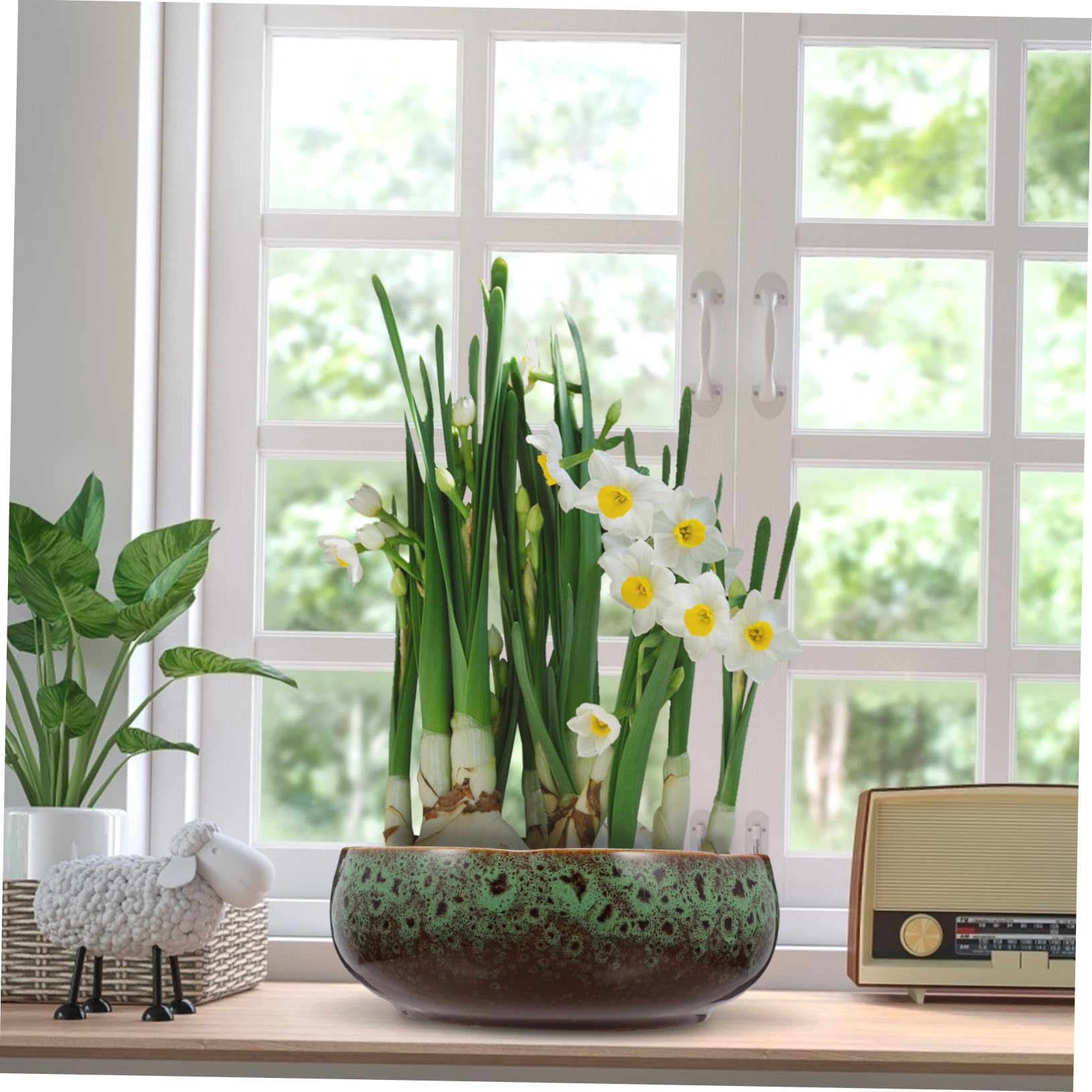 GANAZONO Pot de Fleurs en Céramique Hydroponique sans Trou pour Plantes D'intérieur, Jardinière Résistante Réservoir d'eau pour Balcon ou Jardin