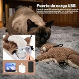 Ver la foto 7