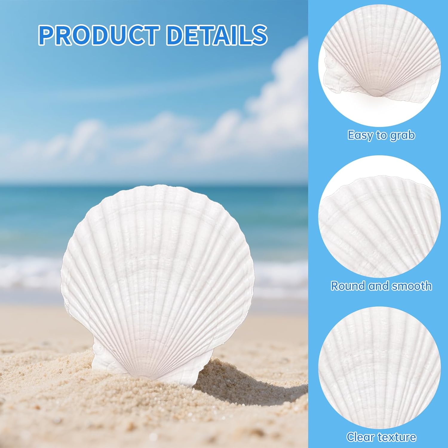 ReePlan 30PCS Large Scallop Shells for Crafts, 4-5 Inch Natural Sea Shells for Decorating, White Seashells Bulk for DIY Crafting, Painting, Baking, Ocean Themed Party Supplies & Decorations