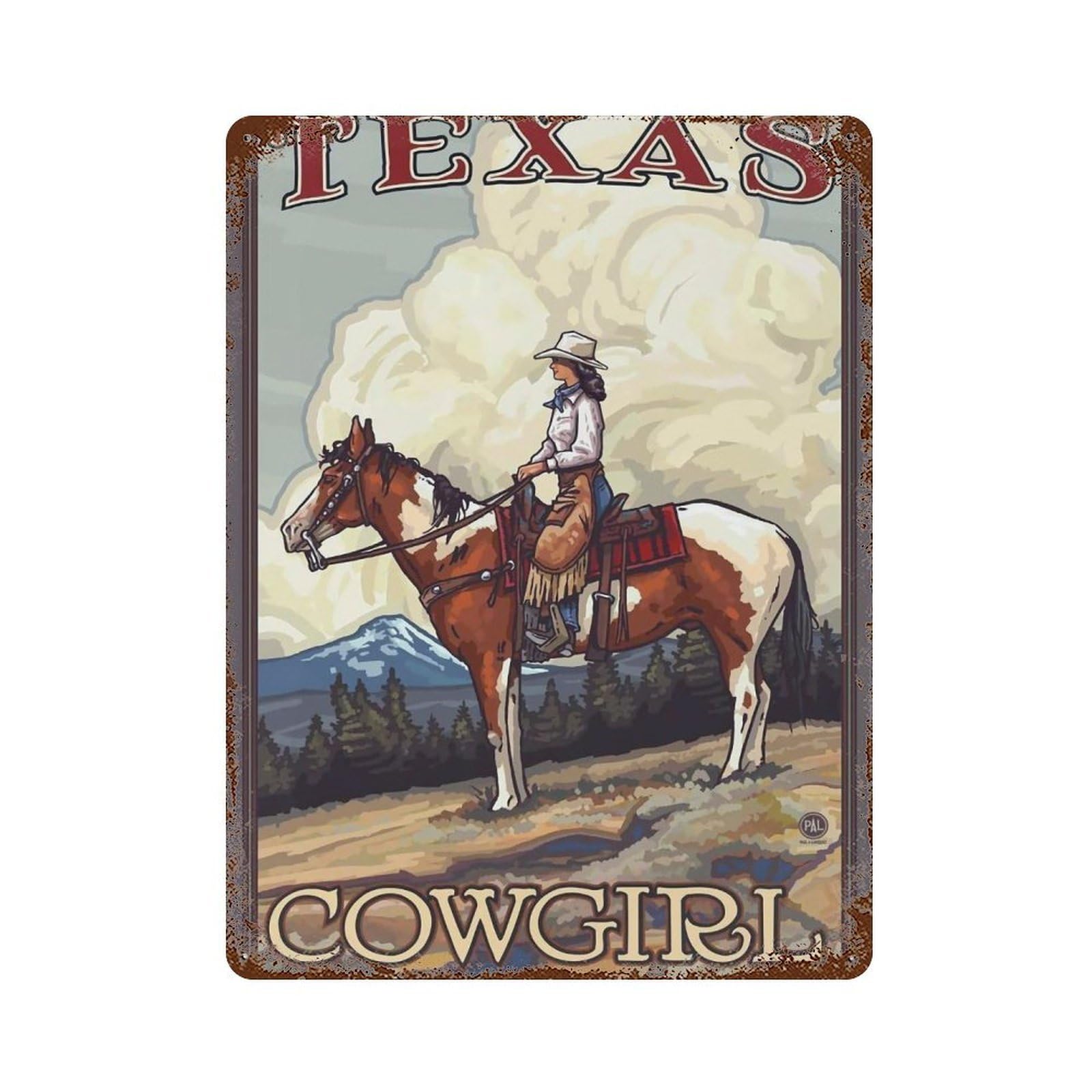 YHGERTKU Cowgirl Wall Art Retro Iron Vintage Metal Tin Sign Poster Modern Decor for Living Rooms Gift 40x30cm