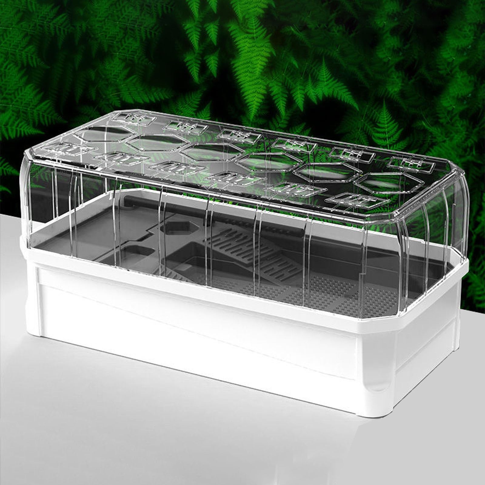 Turtle Habitat Starter Kit, Plastic Terrarium for Reptiles, Turtle Aquarium Cover Set, Breeding Display Box with Shower Filter System,White Without Light,M