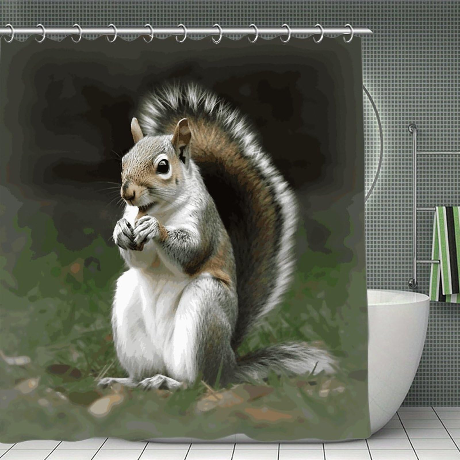 FekiLoot Squirrel Shower Curtain Minimalist Thick Bathroom Curtain Washable Modern Bathroom Shower Curtain Heavy Duty Waterproof Cloth Bath Curtain with Hooks 70.8"x70.8"