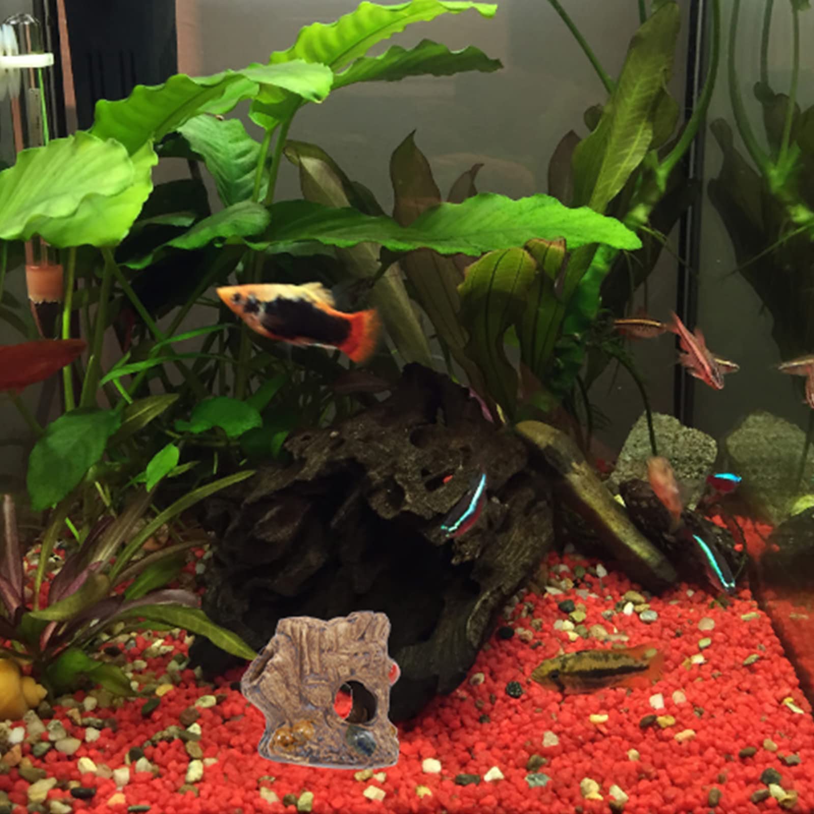 Hoe maak je natuurlijke stroming in aquarium voor gezonde vissen