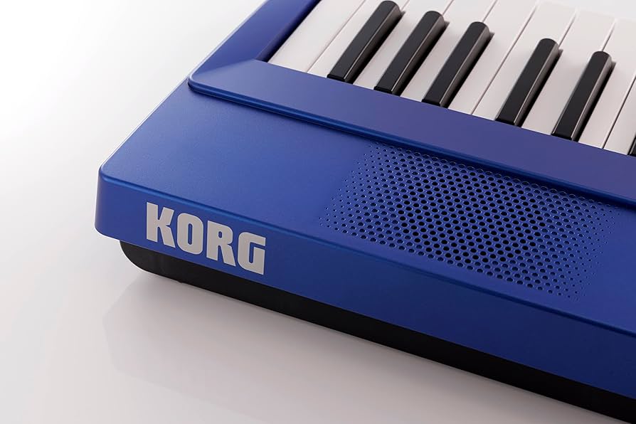 美品 KORG Liano 電子ピアノ 2022年製 88鍵盤 メタリックブルー 楽天市場】KORG 88鍵盤 電子ピアノ Liano L1SP 【 ACアダプター