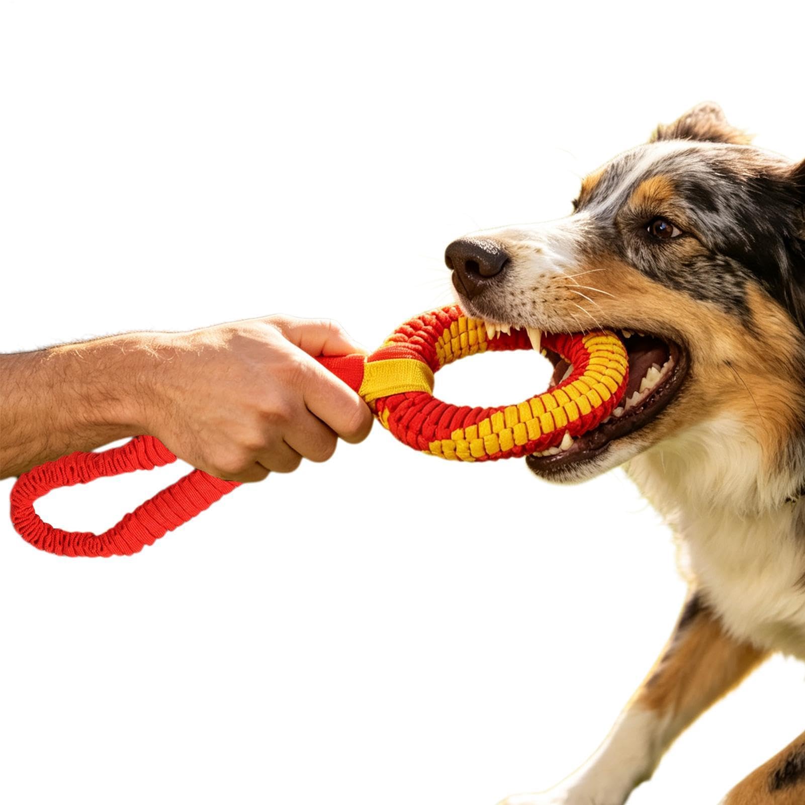 Hundespielzeug, interaktives Zahnungsseil, Ringspiel für Haustiere