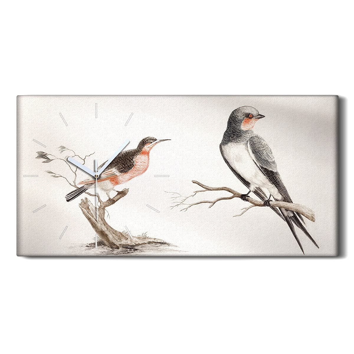 Horloge sur toile ne pas tic tac oiseau décoration murale chambre salon moderne 60x30cm