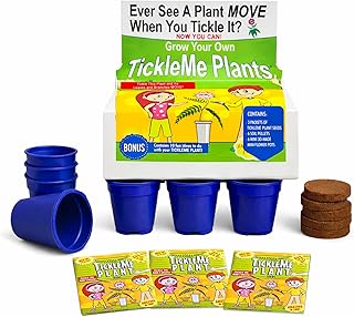 TickleMe TickleMe Plant Greenhouse Kit