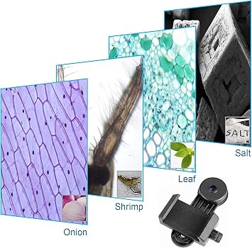Celticbird Smartphone Camera Adapter for Microscope Eyepiece Tube 23.2mm - Built-in 16X Microscope Eyepiece