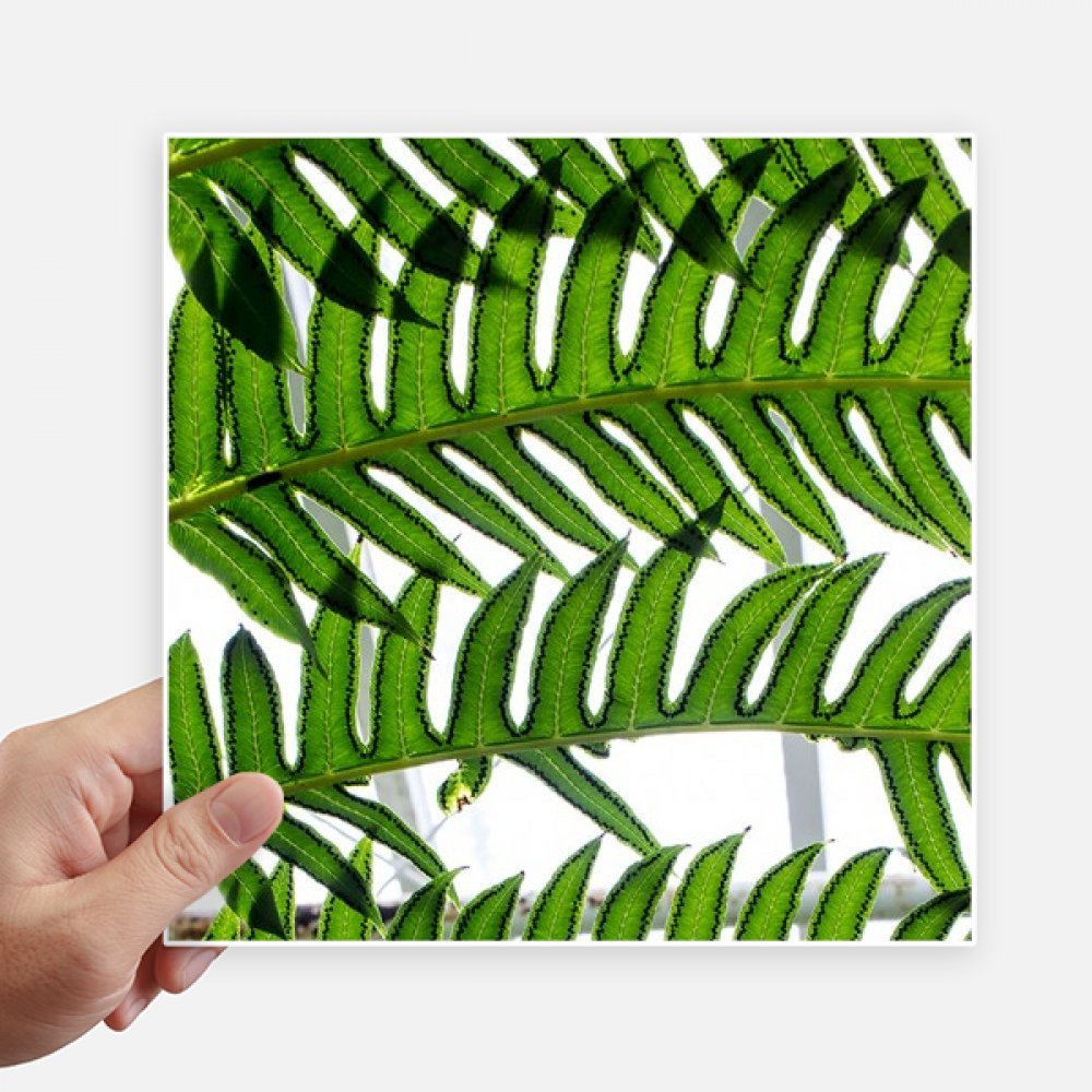 Stickers plante verte autocollant carré 20cm pour masquer les rayures de valise et PC