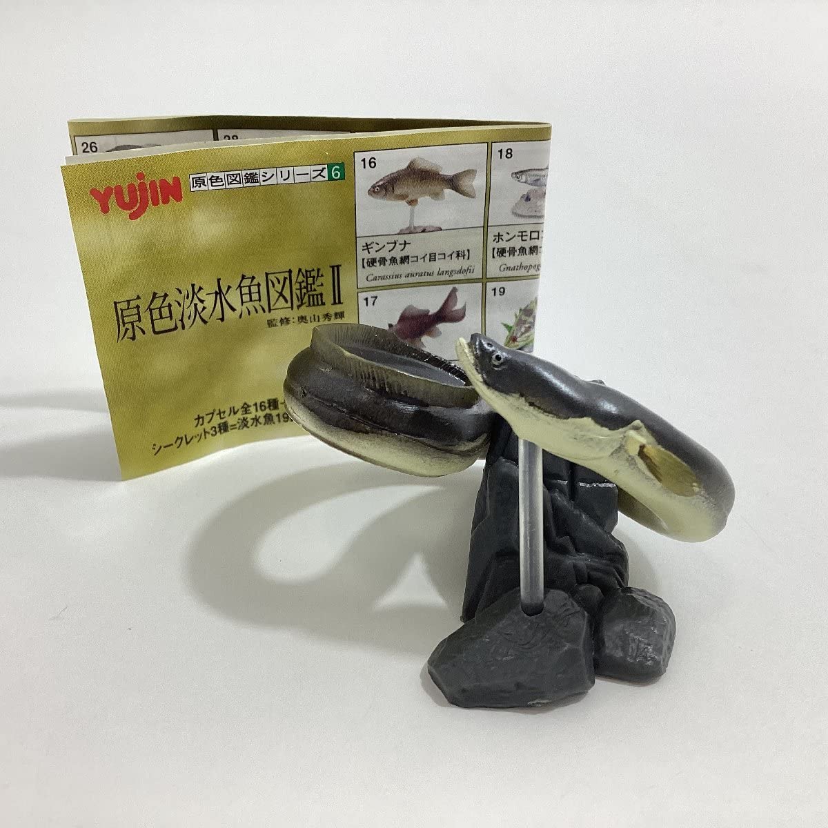 Amazon | 品 原色図鑑シリーズ6 原色淡水魚図鑑Ⅱ 23 ウナギ YUJIN