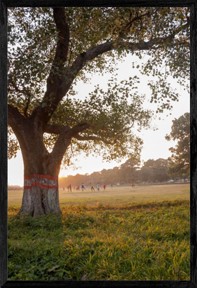 Wall Art -‘Sunset at Maidan’ -Kolkata (Calcutta) Cityscape -Fine Art Photography Print on Archival Canvas by Sanjay Marathe -16” x 24” (35.5 x 53.3 cm) with Classy Box Frame 17” x 25” x 1” (43.2 x 63.5 x 2.5 cm) -Wall Décor for Homes, Offices, Hotel rooms, Lobbies, Hospitals