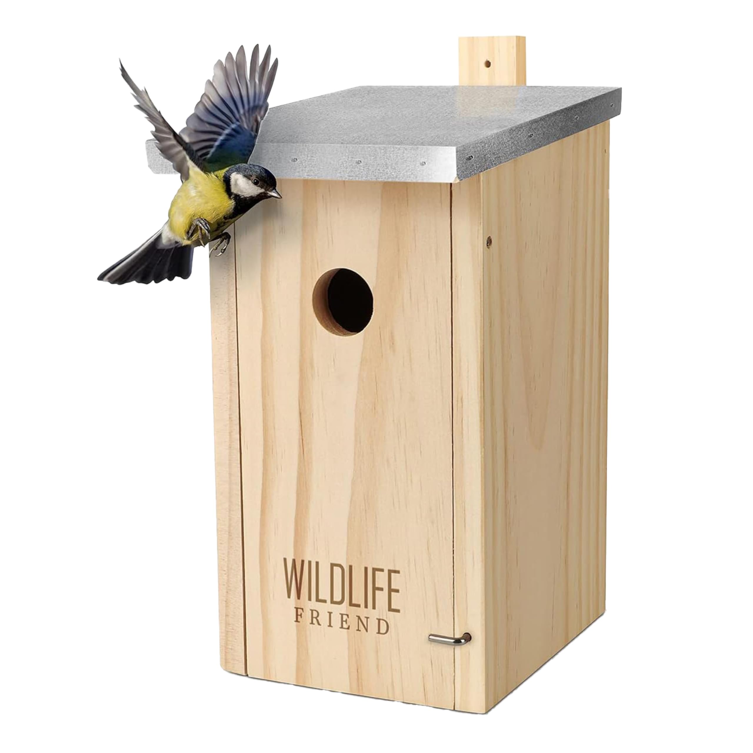 Comedero Pajaros WILDLIFE HOME Amsel Nido, Semiabierto De Madera Maciza  Atornillada, Semicueva Resistente A La Intemperie Y Sin Tratar, Casa De  Pájaros Para Colgar Para Criaderos, Petirrojos Y Más Nido Agapornis, image size:2560x2560