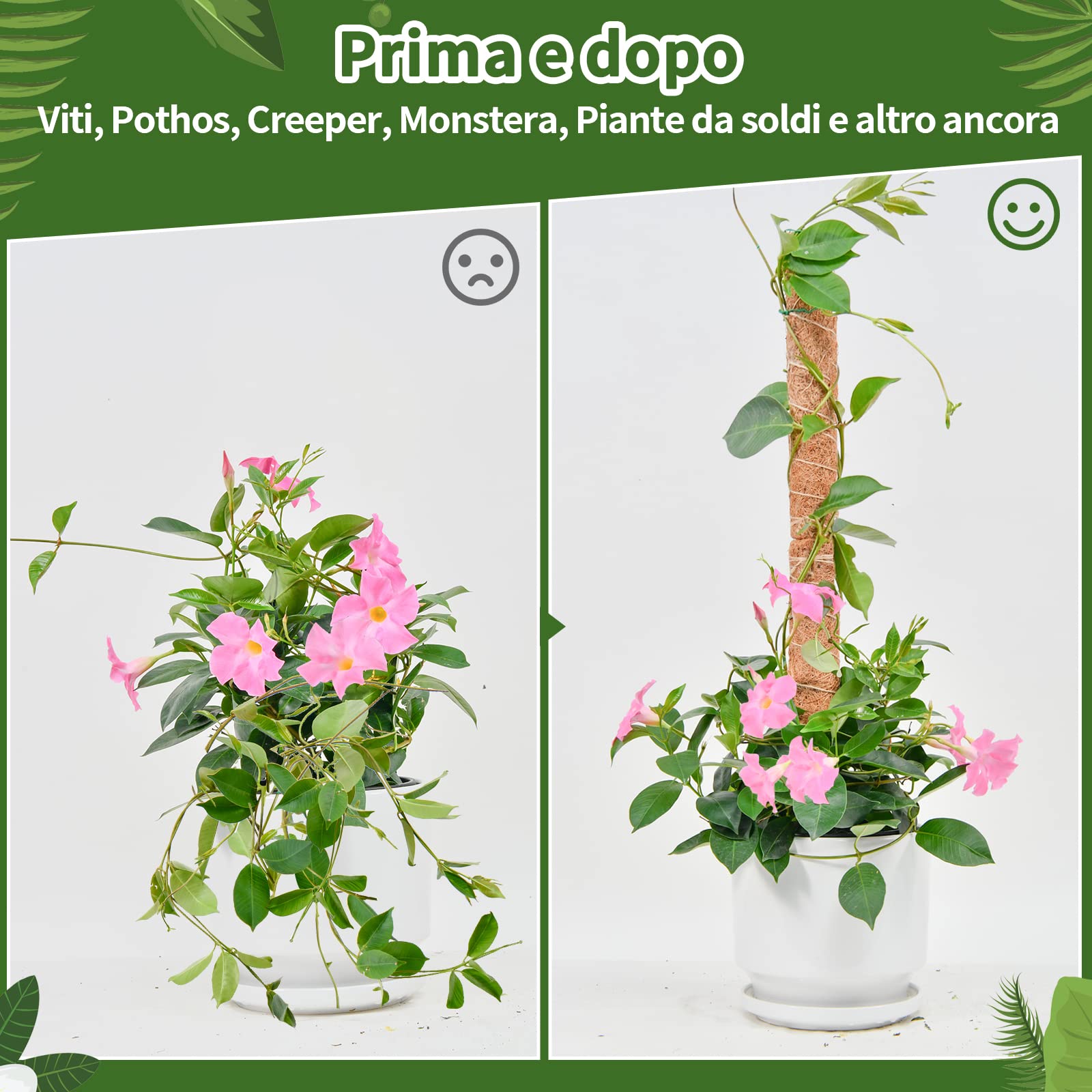 Totem di Cocco, SproutMaven Bastone per Piante da 4x40cm Allungabili, Altezza 124cm Bastoncino di Totem Palo Supporto Piante Rampicanti da Interni ed Esterni, Liane per Crescere Verso L'alto