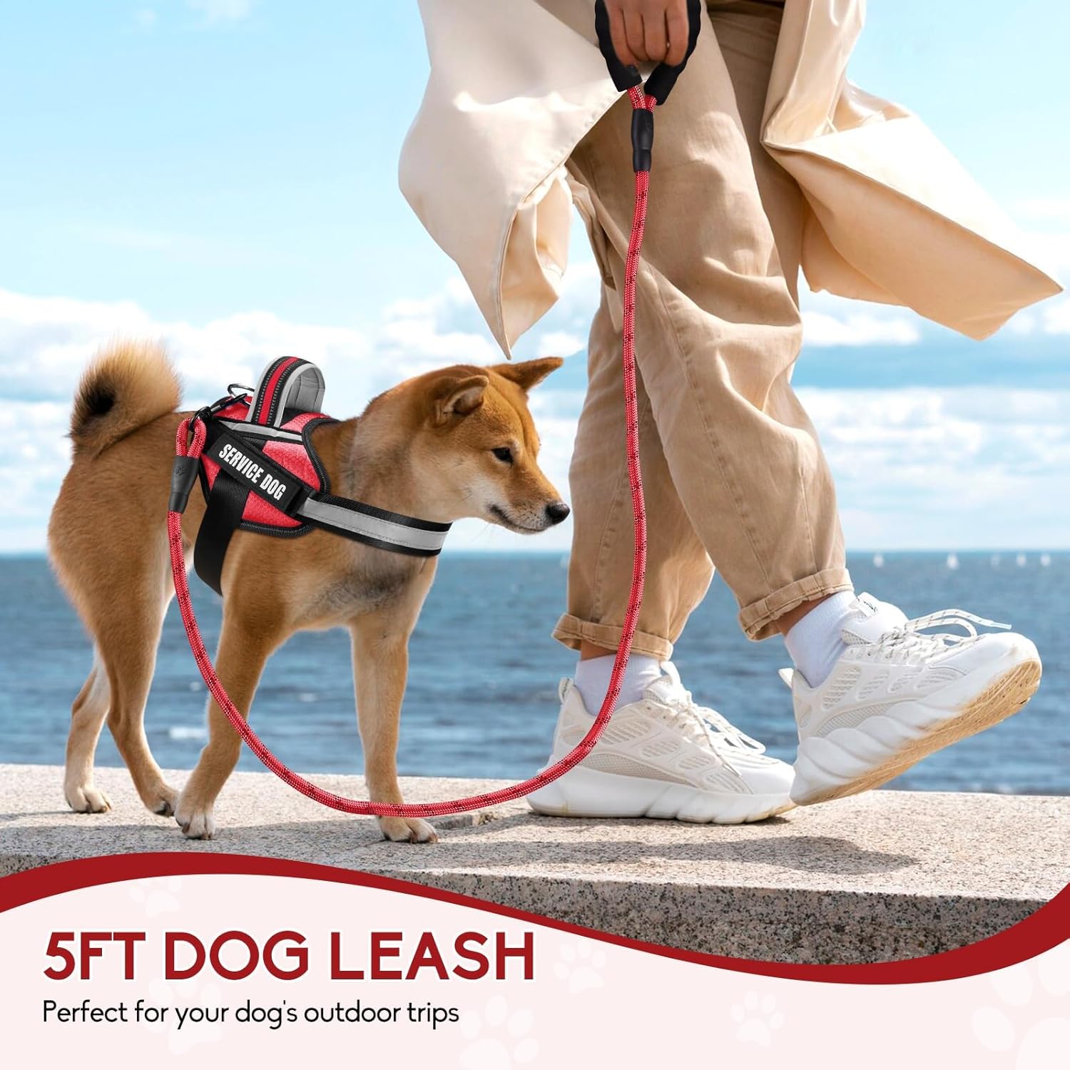 Service Dog Vest Harness and Leash Set, Animire in Training Dog Harness with 10 Dog Patches, Reflective Dog Leash with Soft Padded Handle for Small, Medium, Large, and Extra-Large Dogs