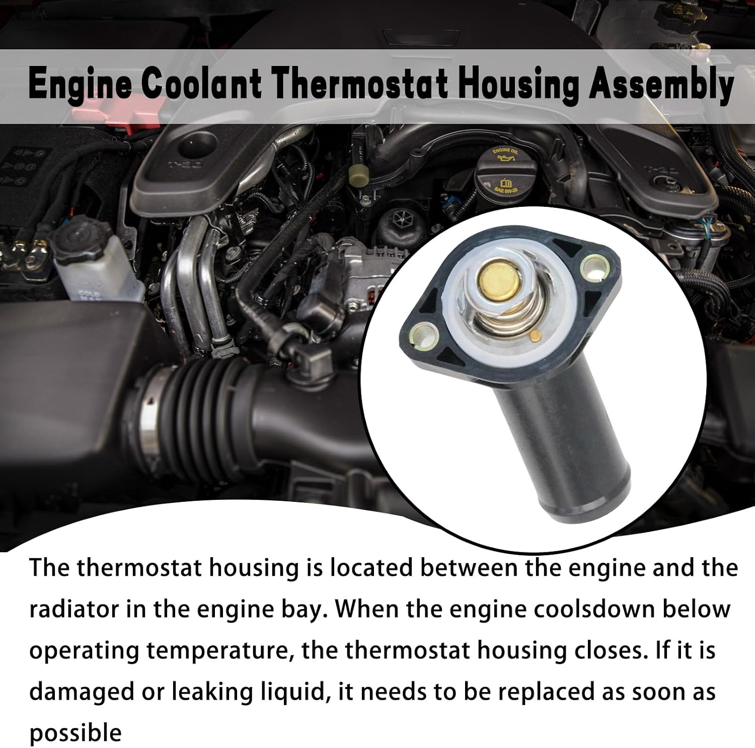 Engine Coolant Thermostat Housing Assembly Compatible with 2007-2011 Jeep Wrangler JK with V6 3.8L Thermostat and Housing Replace 4666149AA 85357 902-3038 CO34826 CH5357