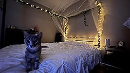 Review Image by Kelly Street Kelly Street